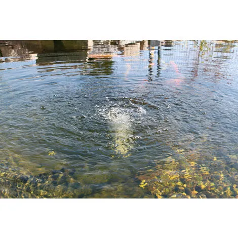 Acheter ✔️ Aérateur De Bassin Solaire 3,5W 120l / H W. Ventilation Détang De Jardin à Batterie Esotec 101872 ? – Image 2