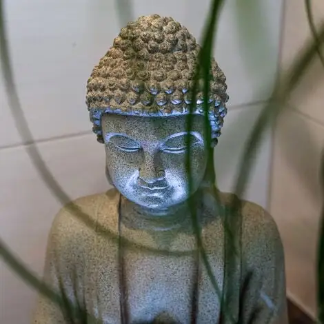 Meilleur prix ? ESOTEC Fontaine Dintérieur Bouddha Fontaine LED Fontaine Ornementale Fontaine De Jardin 230V 101402 ? – Image 4